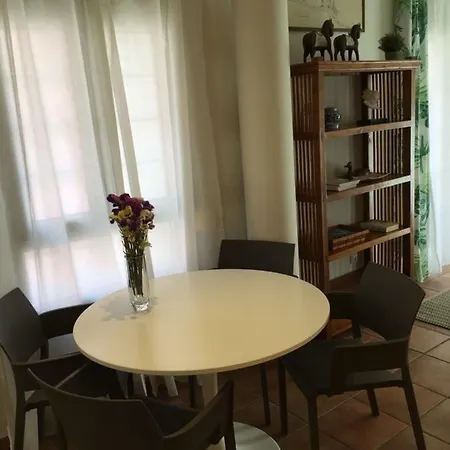 Centrico 2a La Llum * Alicante